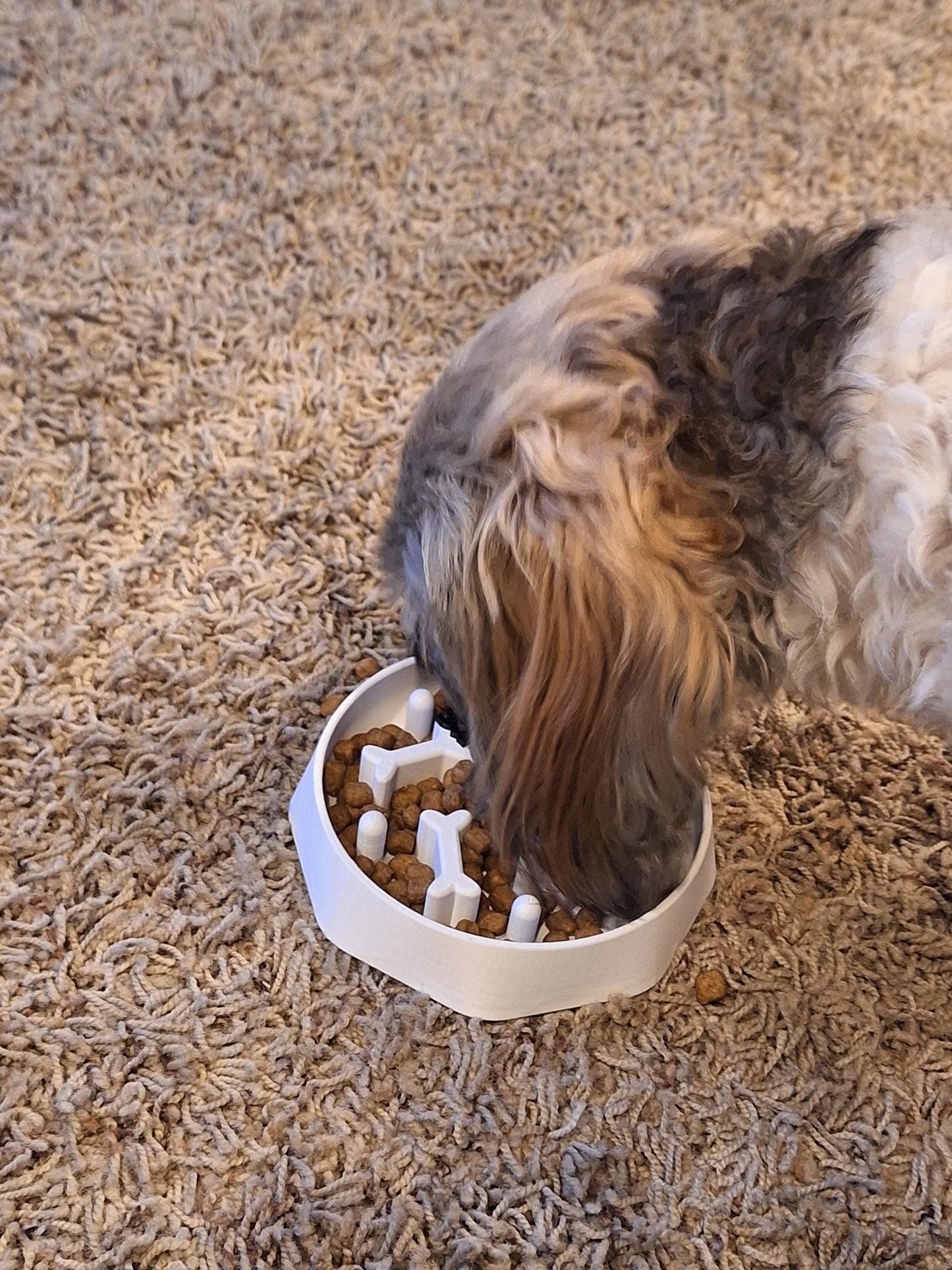 Personalized Slow Feeder Dog Bowl - Custom Pet Dish to Reduce Eating Speed & Improve Digestion for Small to Large Dogs
