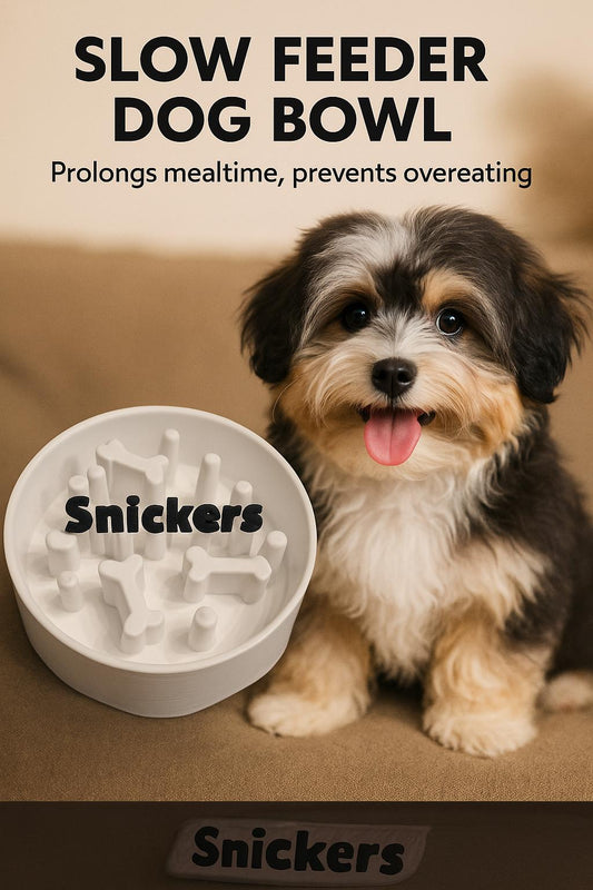 Personalized Slow Feeder Dog Bowl - Custom Pet Dish to Reduce Eating Speed & Improve Digestion for Small to Large Dogs