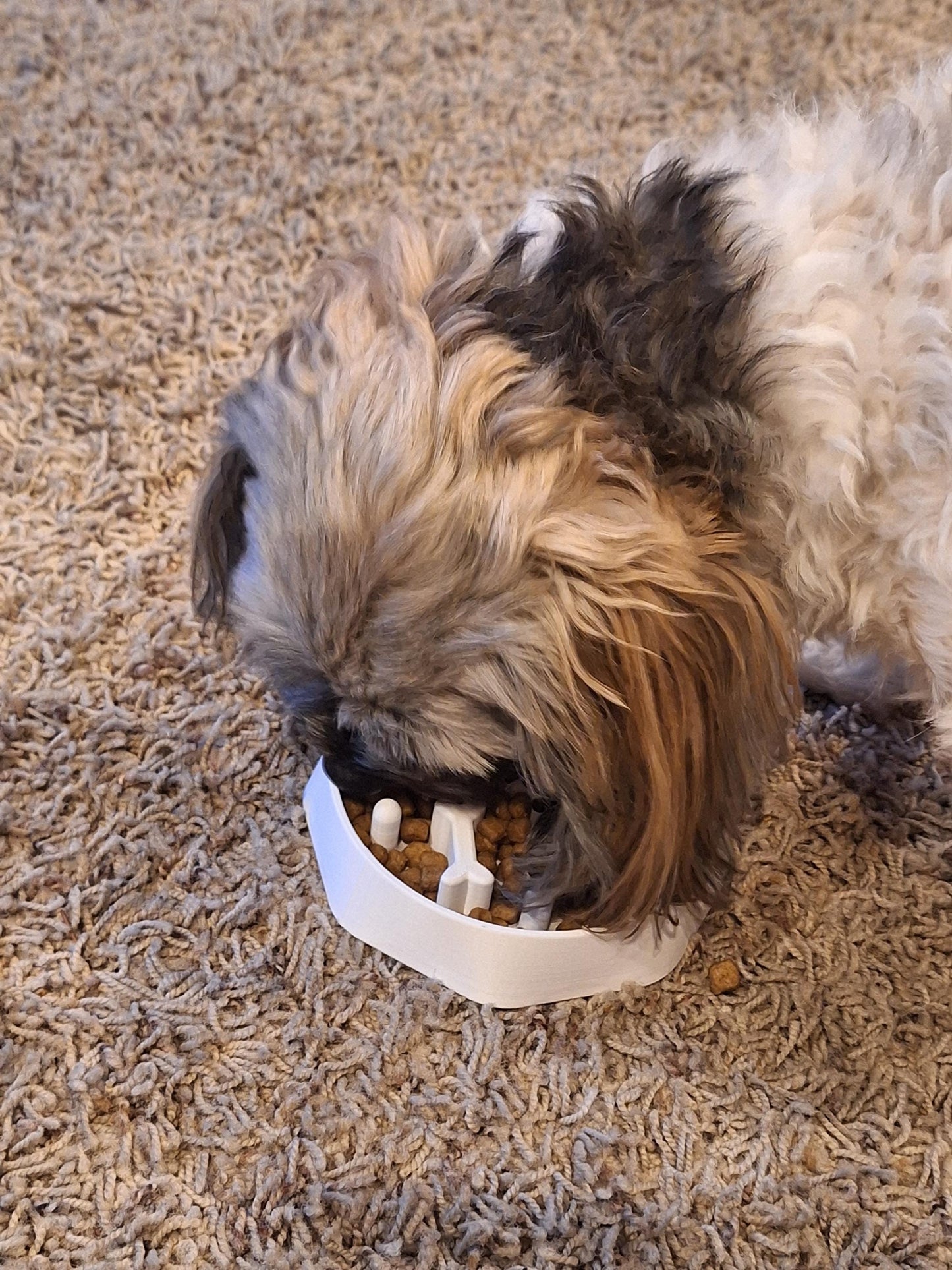 Personalized Slow Feeder Dog Bowl - Custom Pet Dish to Reduce Eating Speed & Improve Digestion for Small to Large Dogs